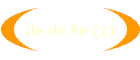 Ile de R (1)