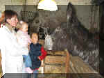 Img2355.jpg (40182 octets)