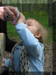 Img2476.jpg (35056 octets)